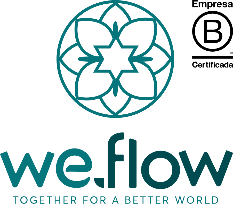 We.Flow + EmpresaB (1) - Paulo Cruz Filho